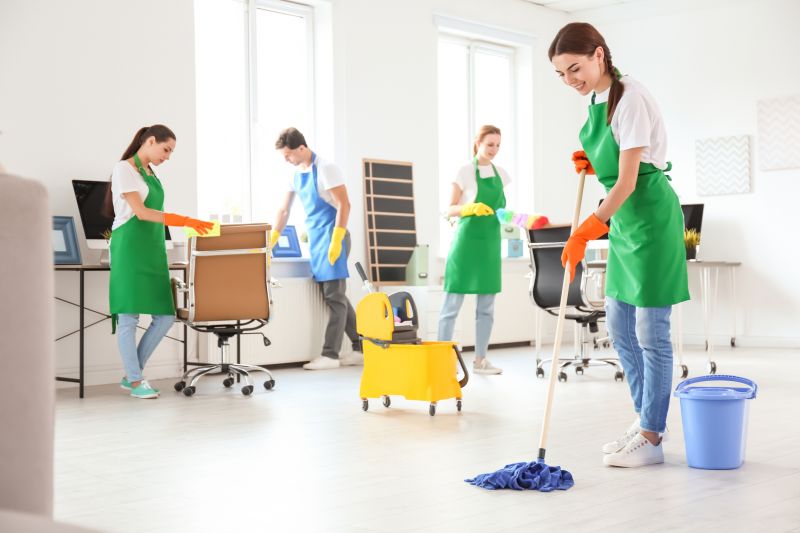 Professional Cleaning Teams